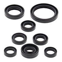 Oil Seal Kit 822167
