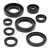Oil Seal Kit 822173