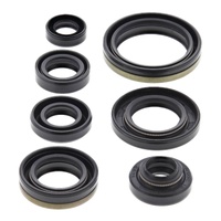 Oil Seal Kit 822176