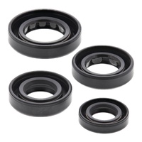 Oil Seal Kit 822179