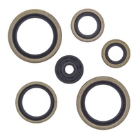 Oil Seal Kit 822187