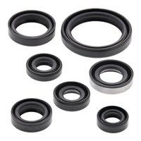 Oil Seal Kit 822193