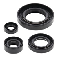 Oil Seal Kit 822195