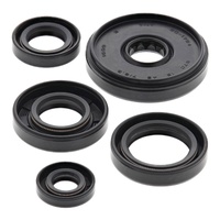 Oil Seal Kit 822196