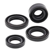 Oil Seal Kit 822212