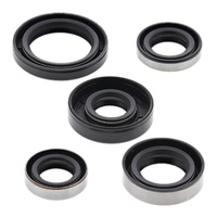 Oil Seal Kit 822216