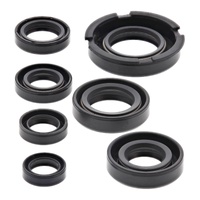 Oil Seal Kit 822219