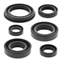 Oil Seal Kit 822220