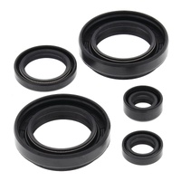 Oil Seal Kit 822234