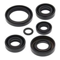 Oil Seal Kit 822242