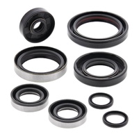 Oil Seal Kit 822264