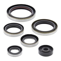 Oil Seal Kit 822269