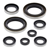 Oil Seal Kit 822274