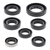 Oil Seal Kit 822289