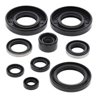 Oil Seal Kit 822292