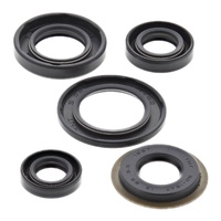 Oil Seal Kit 822308