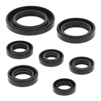 Oil Seal Kit 822311