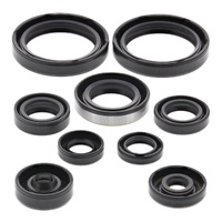 Oil Seal Kit 822316