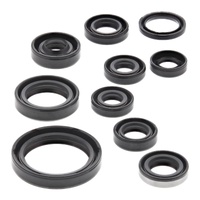 Oil Seal Kit 822319