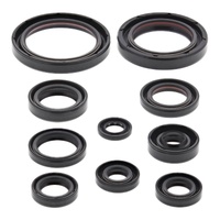 Oil Seal Kit 822332
