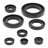Oil Seal Kit 822354