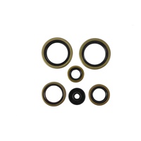 Oil Seal Kit 822370