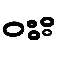 Oil Seal Kit 822380