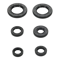 Oil Seal Kit 822391