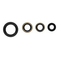 Oil Seal Kit 822399