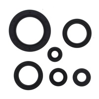 Oil Seal Kit 822978