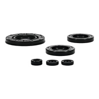 Oil Seal Kit 822997