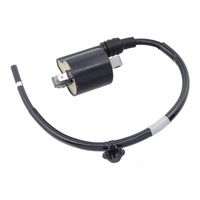 WMP Ignition Coil - Honda