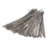 WHITES EXHAUST WRAP - STAINLESS STEEL CLIP TIES - 100PC / PK