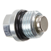 Whites Magnetic Drain Plug M10 x 6.9 - P1.0