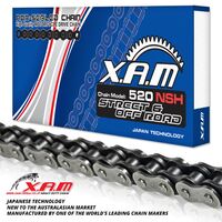 CHAIN XAM 520NSH X 110 NON SEALED HD